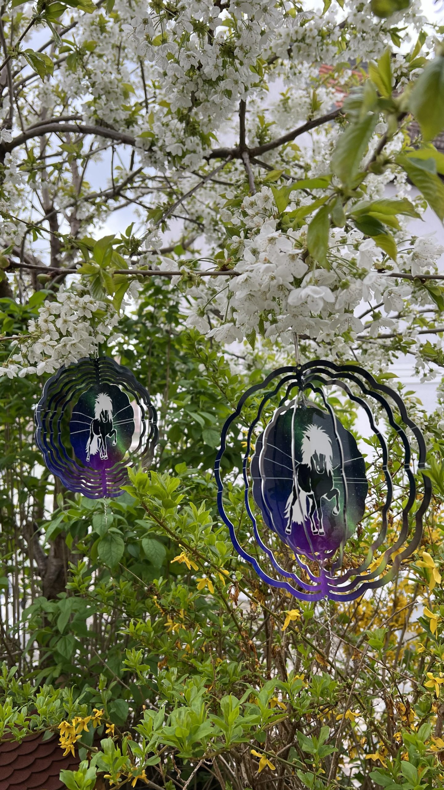 Windspiel Tölter Aurora - UNIKAT – Bild 2