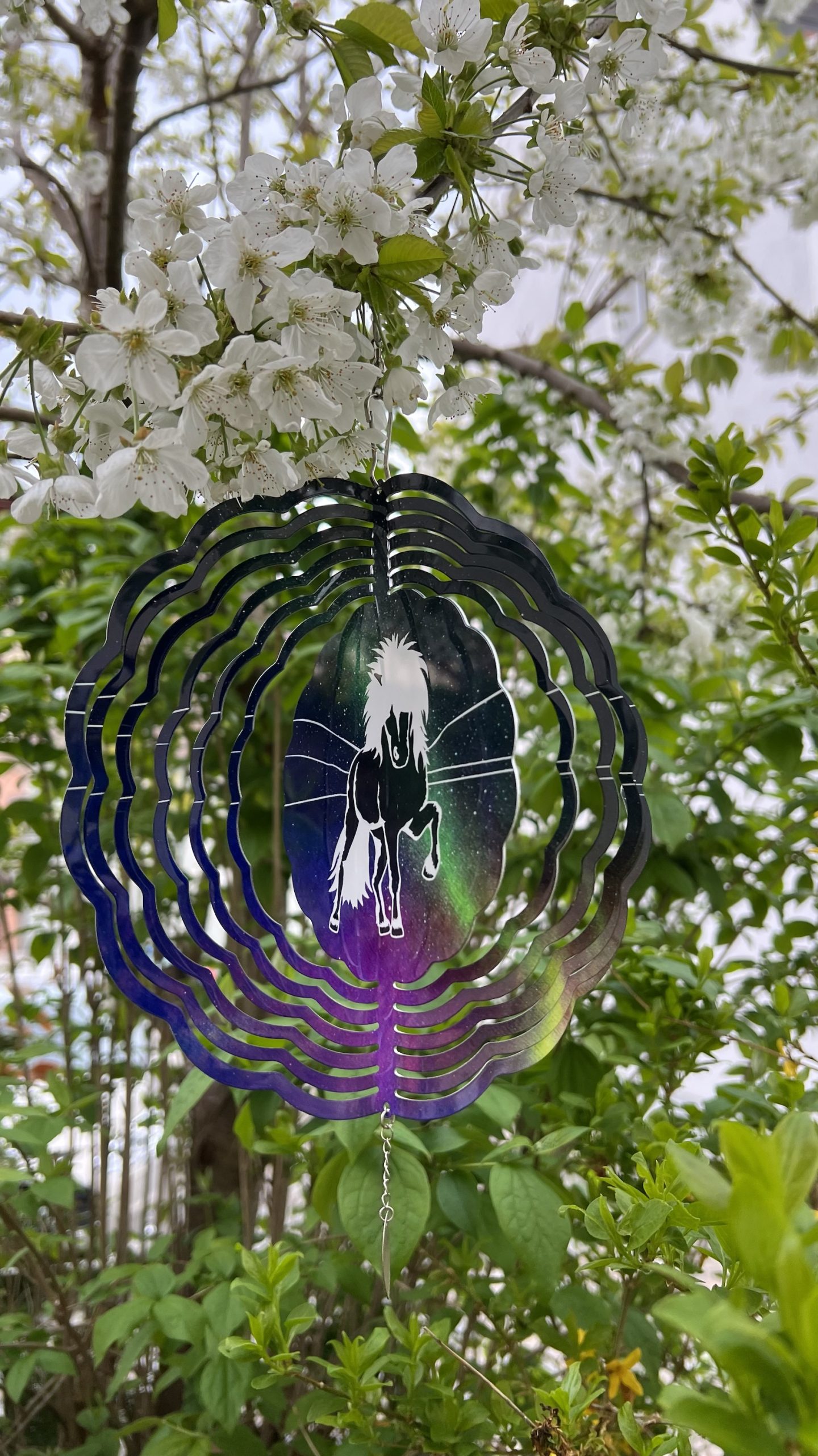 Windspiel Tölter Aurora - UNIKAT